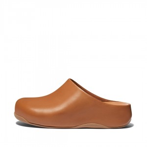 Light Brown Fitflop Shuv Wipe Clean Women's Clogs | MY-JWECUN432